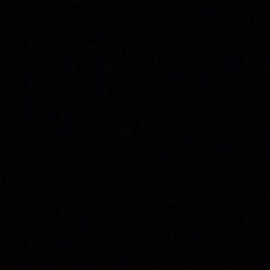 Meet your Posher, Terry